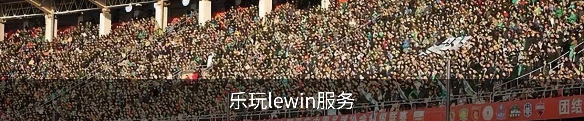 乐玩lewin服务